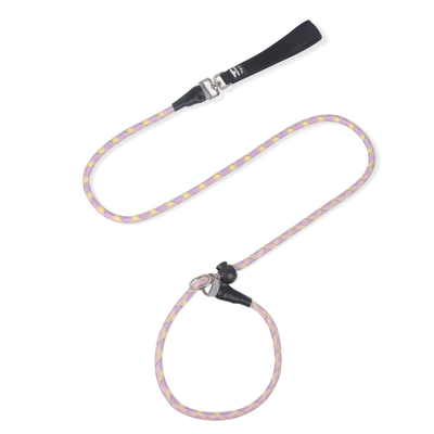 Pet Explosion-Proof P Chain Leash Dog Reflective Breathable No Hand-Tightening Integrated Dog Leash