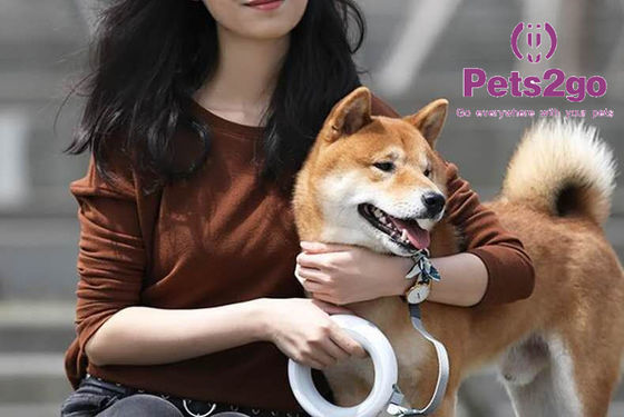 Waterproof  ABS Size m Unbreakable Retractable Dog Leash