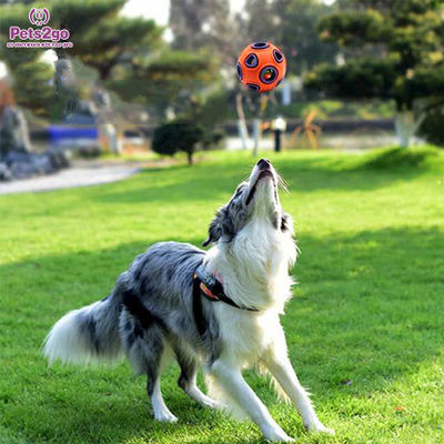 Interactive rubber 80mm Indestructible Dog Ball Toys