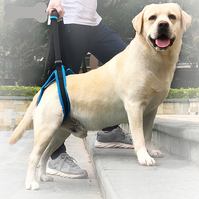 Nylon Pet Leg Support Belt Rear Leg Disability Injury High Aged Dog Stair Auxiliary
